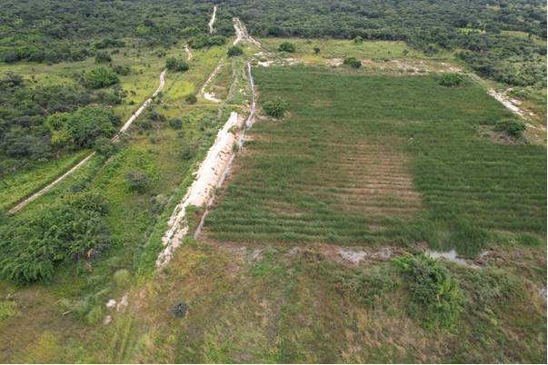 Wetland construction.png
