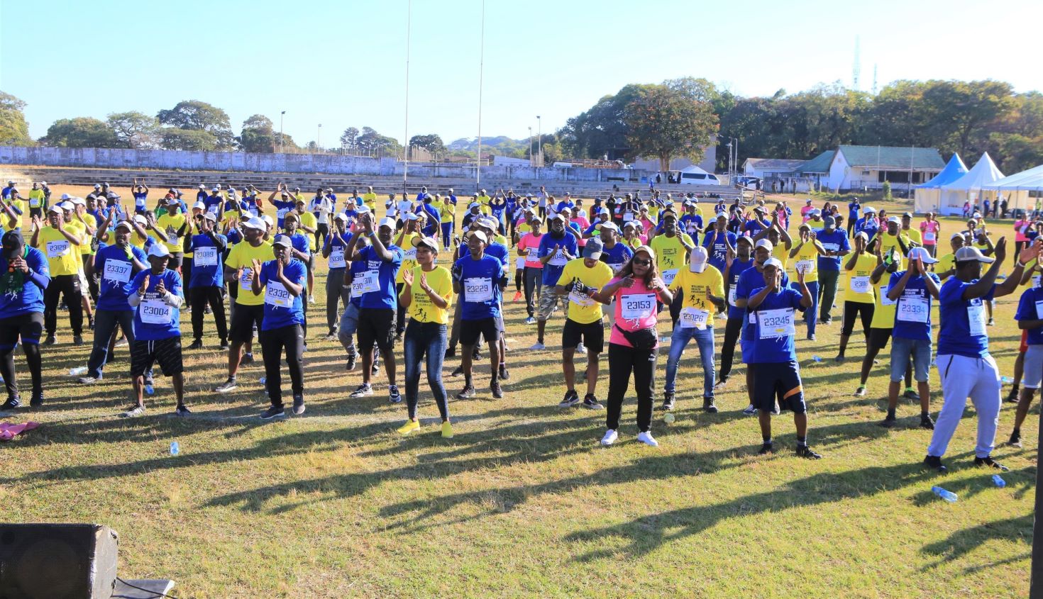 Wellness Picture 2.jpg